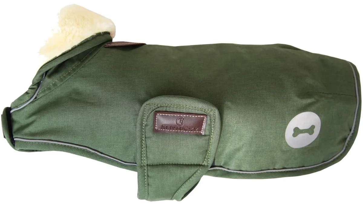 Kentucky Manteau Pour Chien Waterproof de Kentucky Horsewear en Olijfgroen – photo produit
