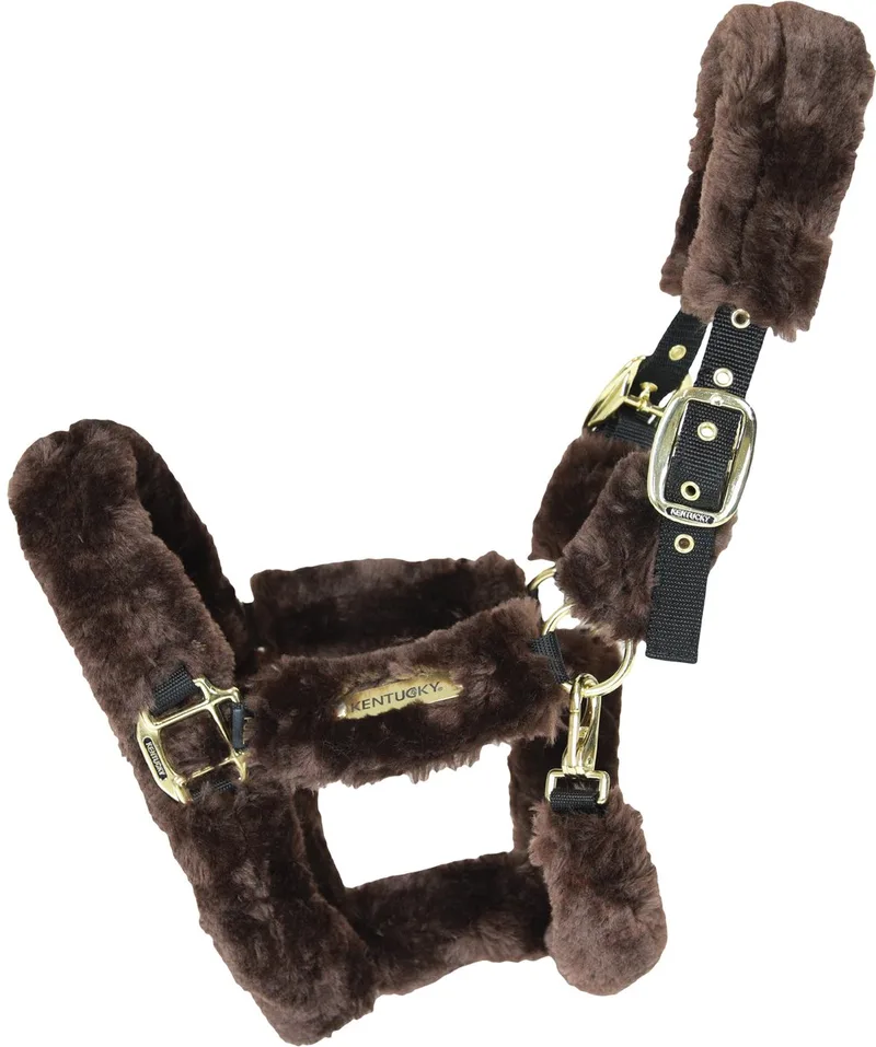 Kentucky Horsewear Sheepskin Shipping Halter - Cob von Kentucky Horsewear in Braun – Produktfoto