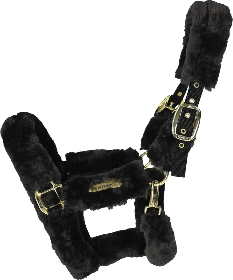 Kentucky Horsewear Sheepskin Shipping Halter - Pony von Kentucky Horsewear in Schwarz – Produktfoto