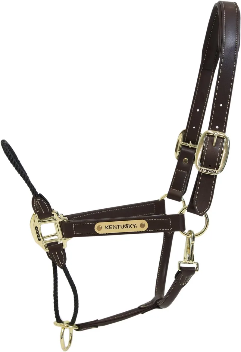 Leder halster rope cob by Kentucky Horsewear in Brown – product photo