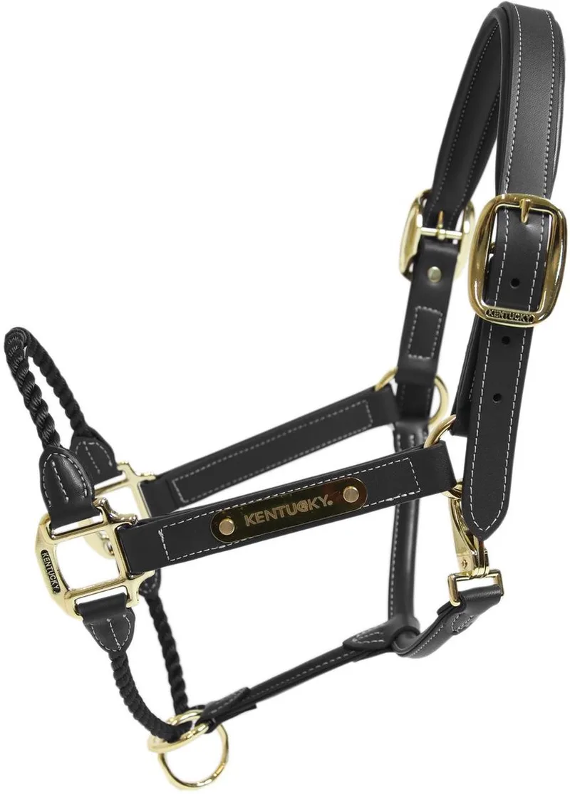 Leder halster rope Full de Kentucky Horsewear en Noir – photo produit