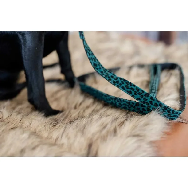 Leopard Hondenriem by Kentucky Horsewear – product photo 3 of 5