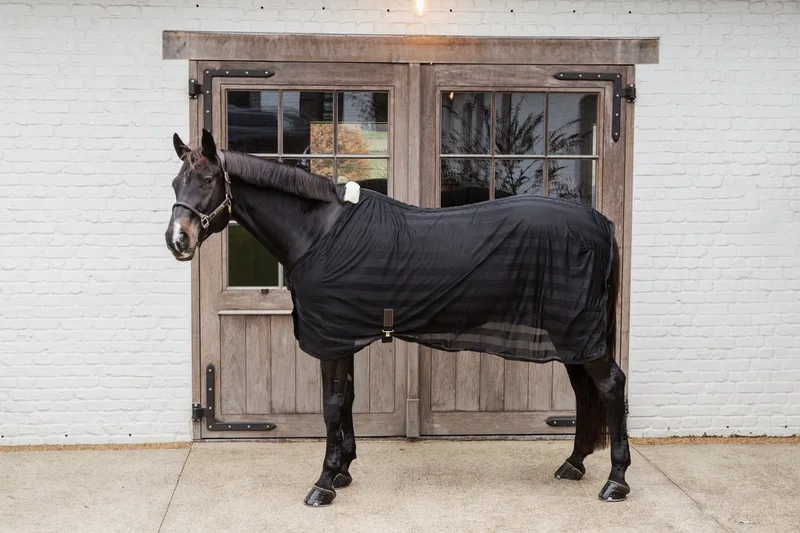 Lichte Mesh Vliegendeken 145-6'6 de Kentucky Horsewear en Noir – photo produit