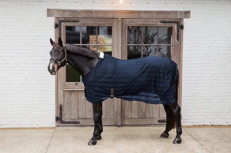 Lichte Mesh Vliegendeken marine 145-6'6 de Kentucky Horsewear en Marineblauw – photo produit
