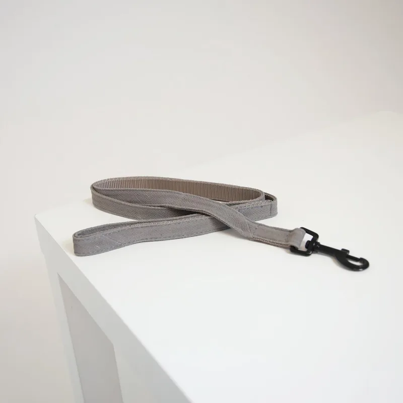 Lizard Hondenlijn / Hondenriem - (Hagedissenprint) - Breedte: 2 cm - Lengte: 120 cm von Kentucky Horsewear in Beige – Produktfoto