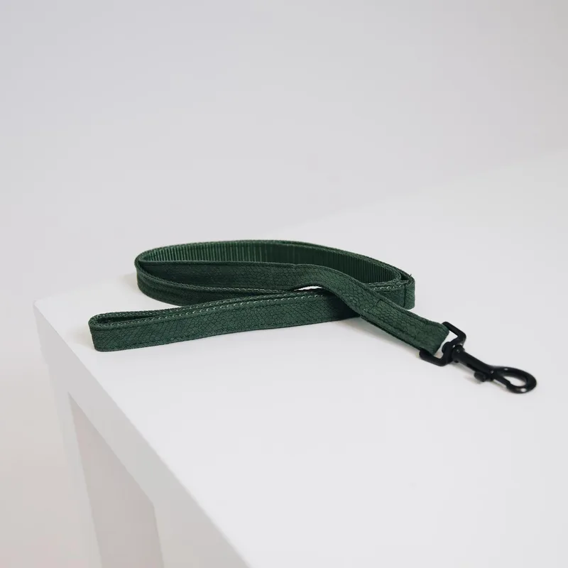 Lizard Hondenlijn / Hondenriem - (Hagedissenprint) - Breedte: 2 cm - Lengte: 120 cm fra Kentucky Horsewear i Grøn – produktbillede