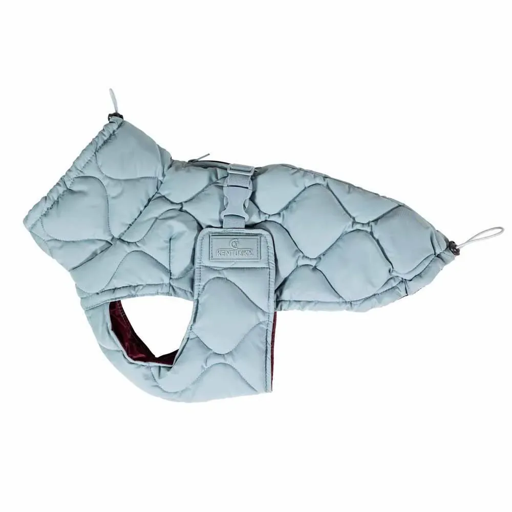 Manteau Pour Chien Winter Pina de Kentucky Horsewear – photo produit