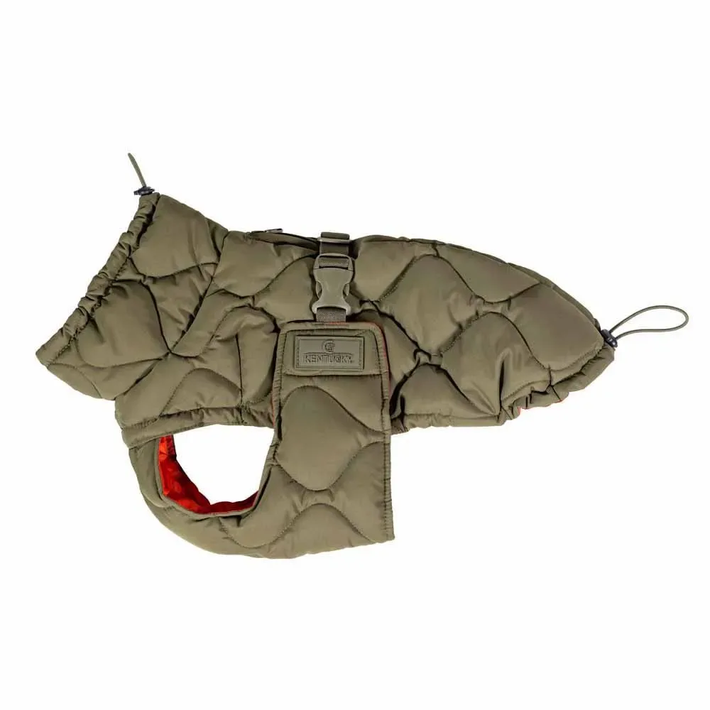 Hondenjas Winter Pina van Kentucky Horsewear – productfoto