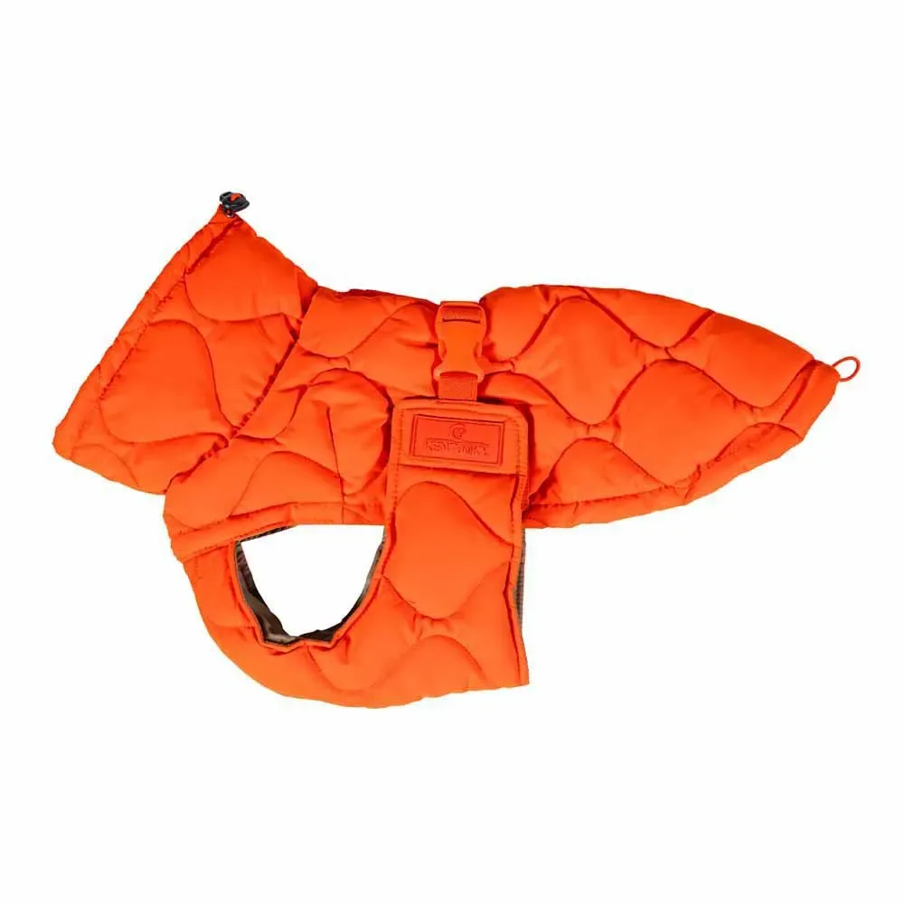 Hondenjas Winter Pina van Kentucky Horsewear – productfoto