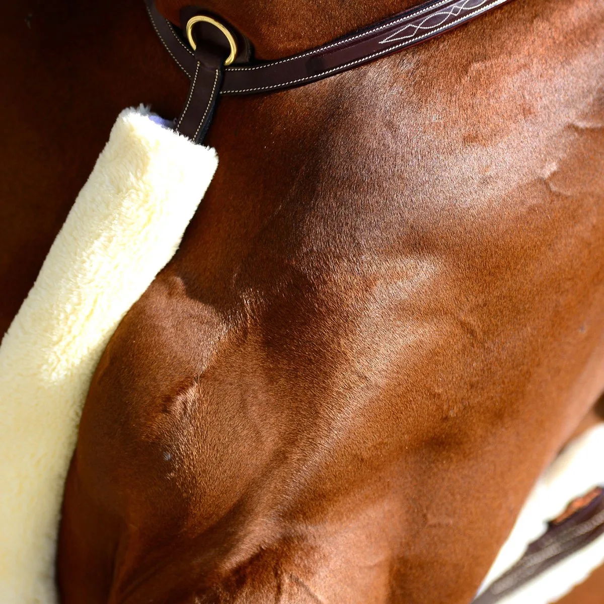 Martingaal Cover Bont von Kentucky Horsewear in Natur – Produktfoto