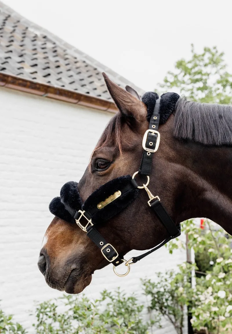 Nylon halster wol / bont soft full by Kentucky Horsewear in Black – product photo