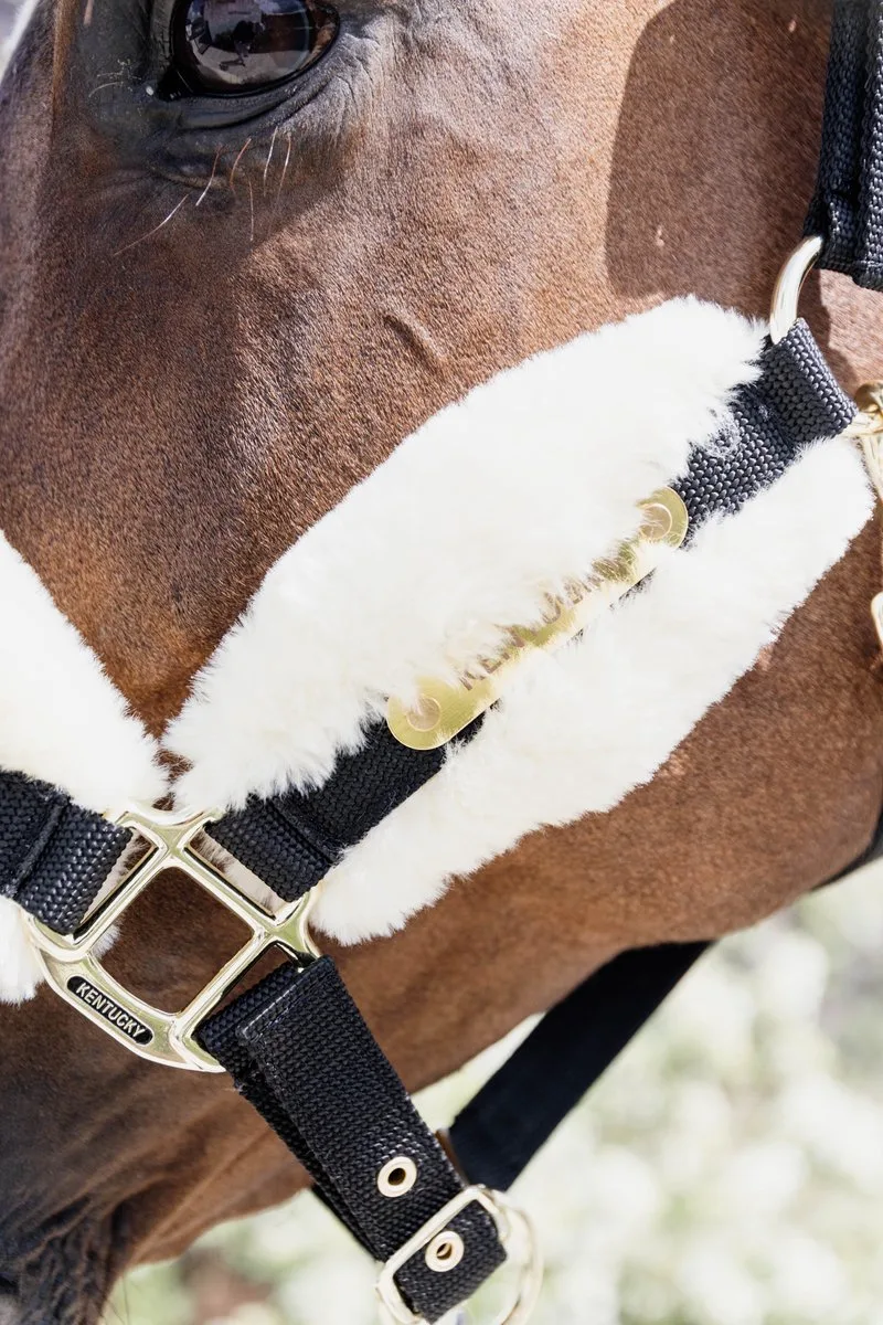 Nylon halster wol / bont soft shetland pony by Kentucky Horsewear in Natural – product photo