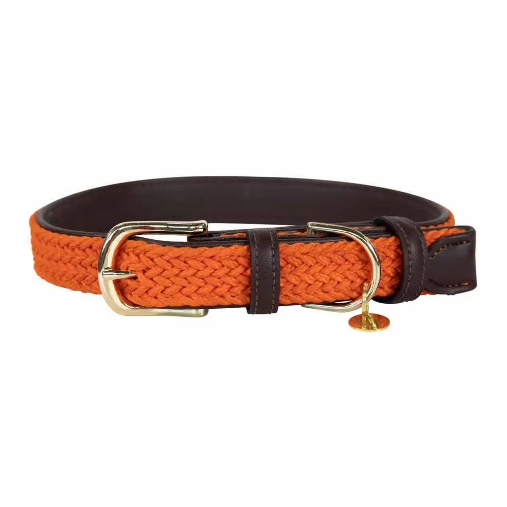 Nylon Plaited Hondenhalsband från Kentucky Horsewear – produktbild