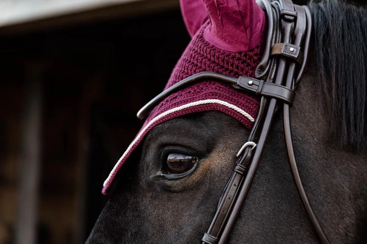 Oornetje Wellington velvet bordeaux cob by Kentucky Horsewear – product photo