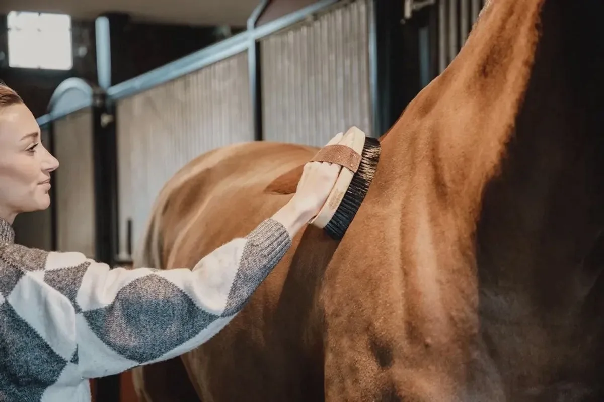 Overall Brush Hard fra Kentucky Horsewear i Kleurloos – produktbillede