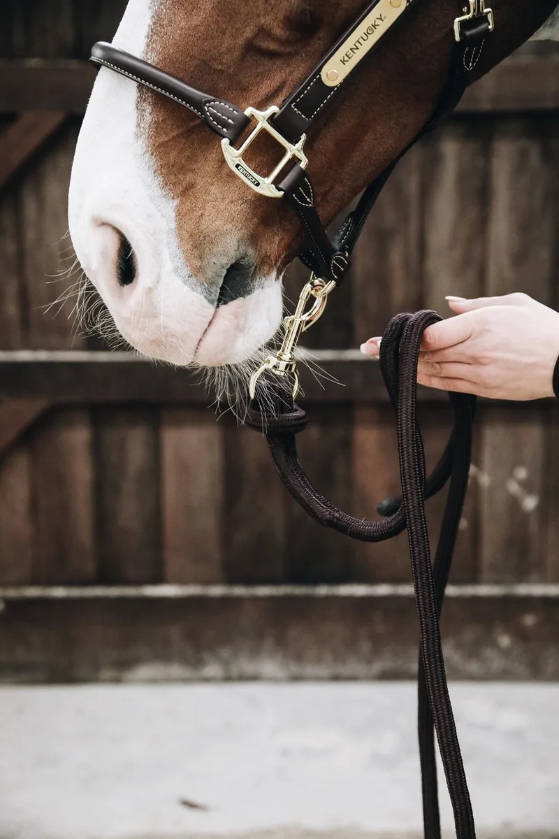 Paardenlijn loop 2,80m by Kentucky Horsewear in Brown – product photo