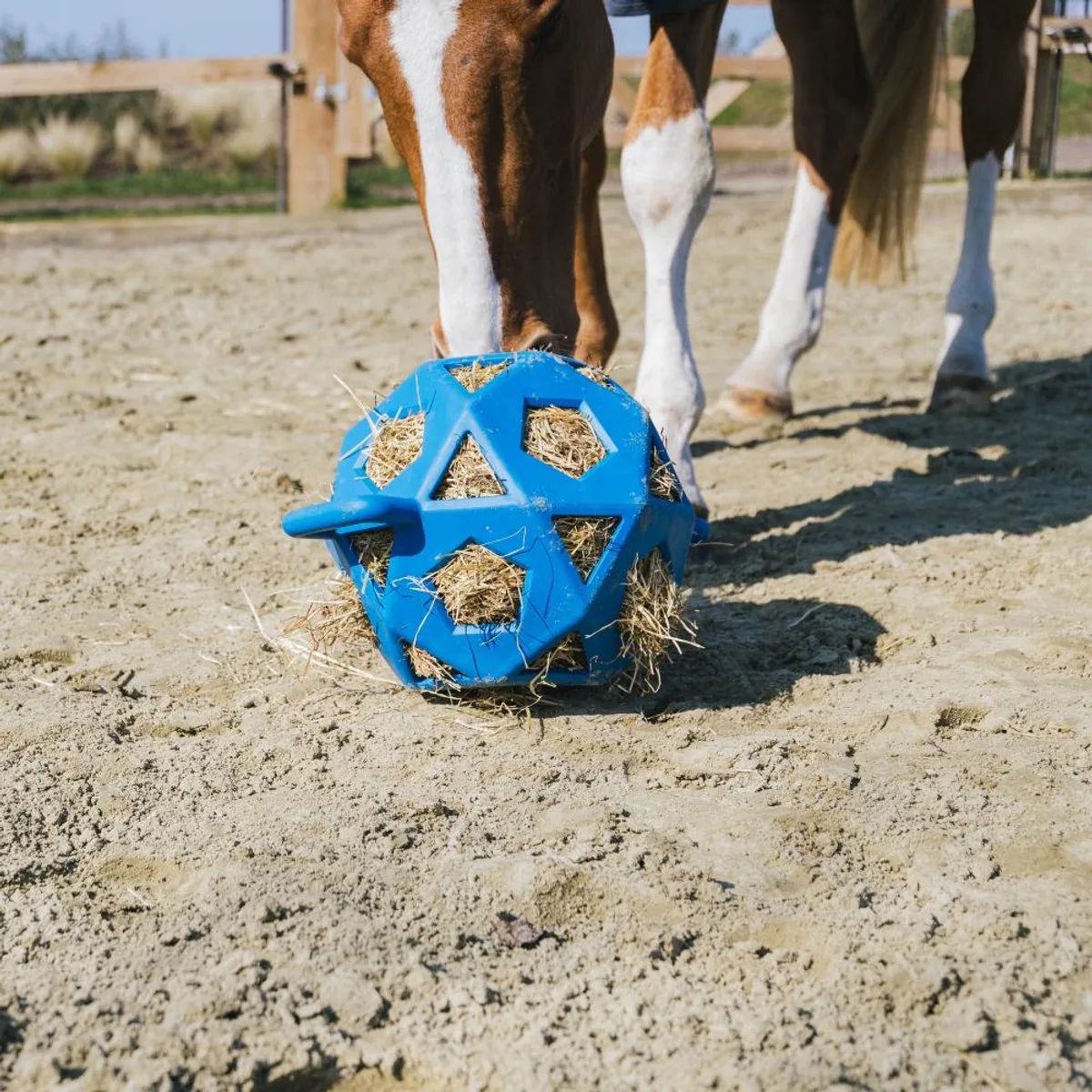 Relax Paardenspeeltje speel- en hooibal royaal blauw size L 40cm de Kentucky Horsewear en Royal Blue – photo produit