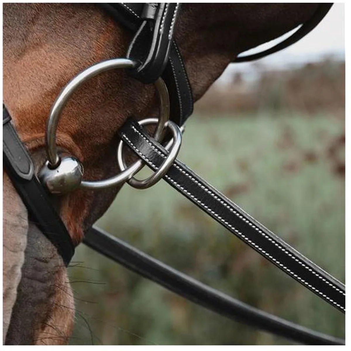 Riemen van rubber 1/2’’ met 7 leren stops, ring sluiting WO coll, Pony/zwart de Kentucky Horsewear en Noir – photo produit