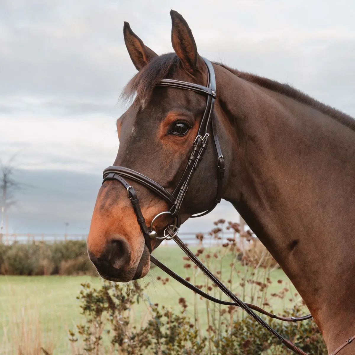 Riemen van rubber 1/2’’ met 7 leren stops, ring sluiting WO coll, Pony/bruin de Kentucky Horsewear en Marron – photo produit