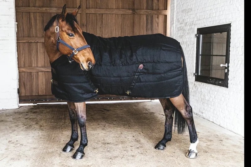 Staldeken classic 160-7'0 200 gram von Kentucky Horsewear in Schwarz – Produktfoto