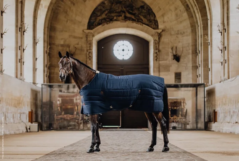 Staldeken classic navy 125-5'9 100 gram von Kentucky Horsewear in Marineblauw – Produktfoto