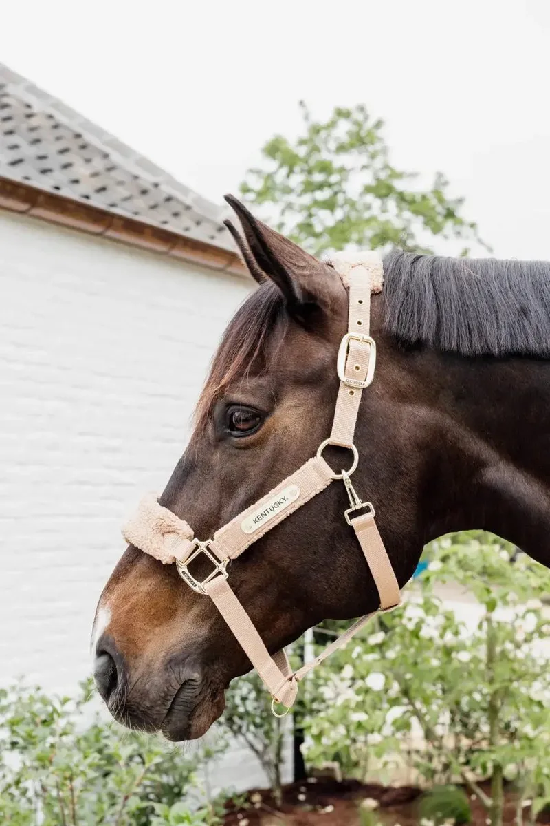 Teddy fleece halster oud roze Full de Kentucky Horsewear en Oudroze – photo produit