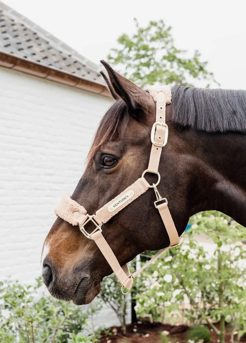 Teddy fleece halster Pony von Kentucky Horsewear in Beige – Produktfoto