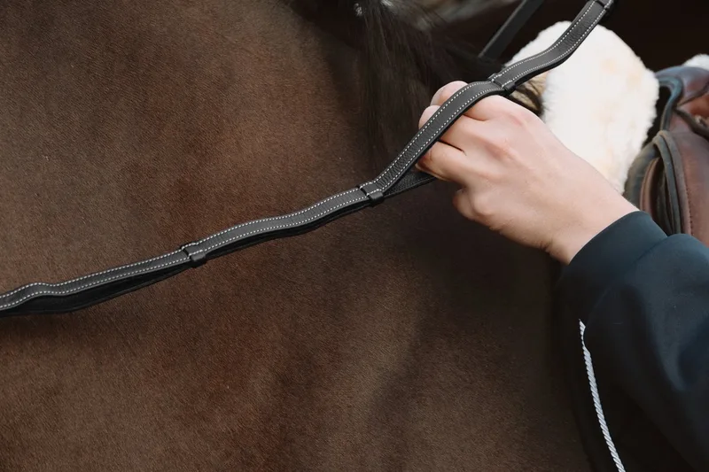 Teugels 1/2’’ met leren handgreep WO coll, Full/zwart by Kentucky Horsewear in Black – product photo