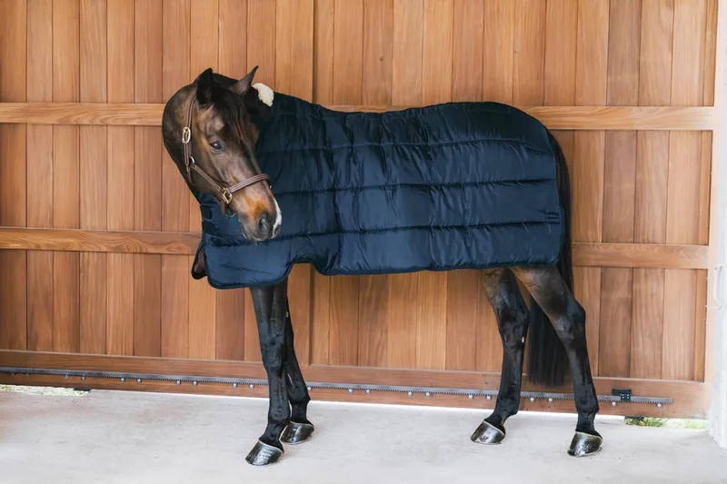 Turnout rug Comfort Liner Pro navy 155-6'9 200 gram de Kentucky Horsewear en Marineblauw – photo produit