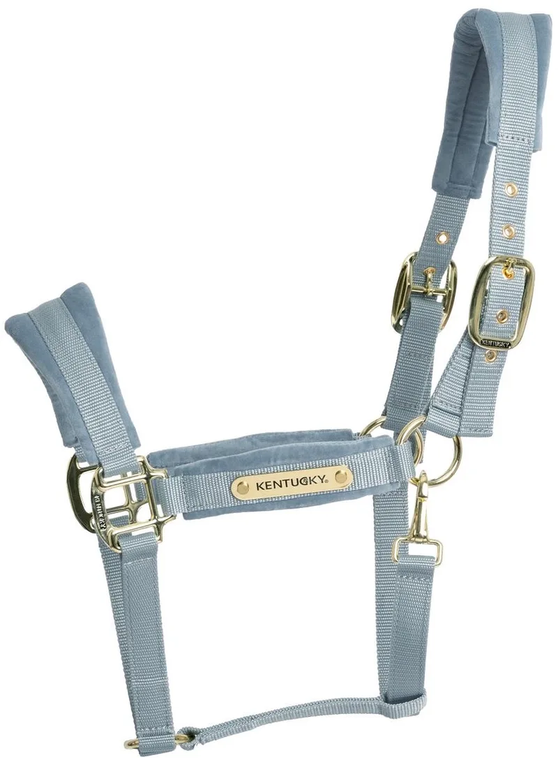Velvet halster cob von Kentucky Horsewear in Hellblau – Produktfoto