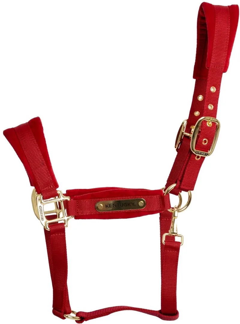Velvet halster cob van Kentucky Horsewear in Rood – productfoto