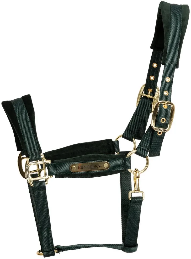 Velvet halster dannengroen cob by Kentucky Horsewear in Dennengroen – product photo