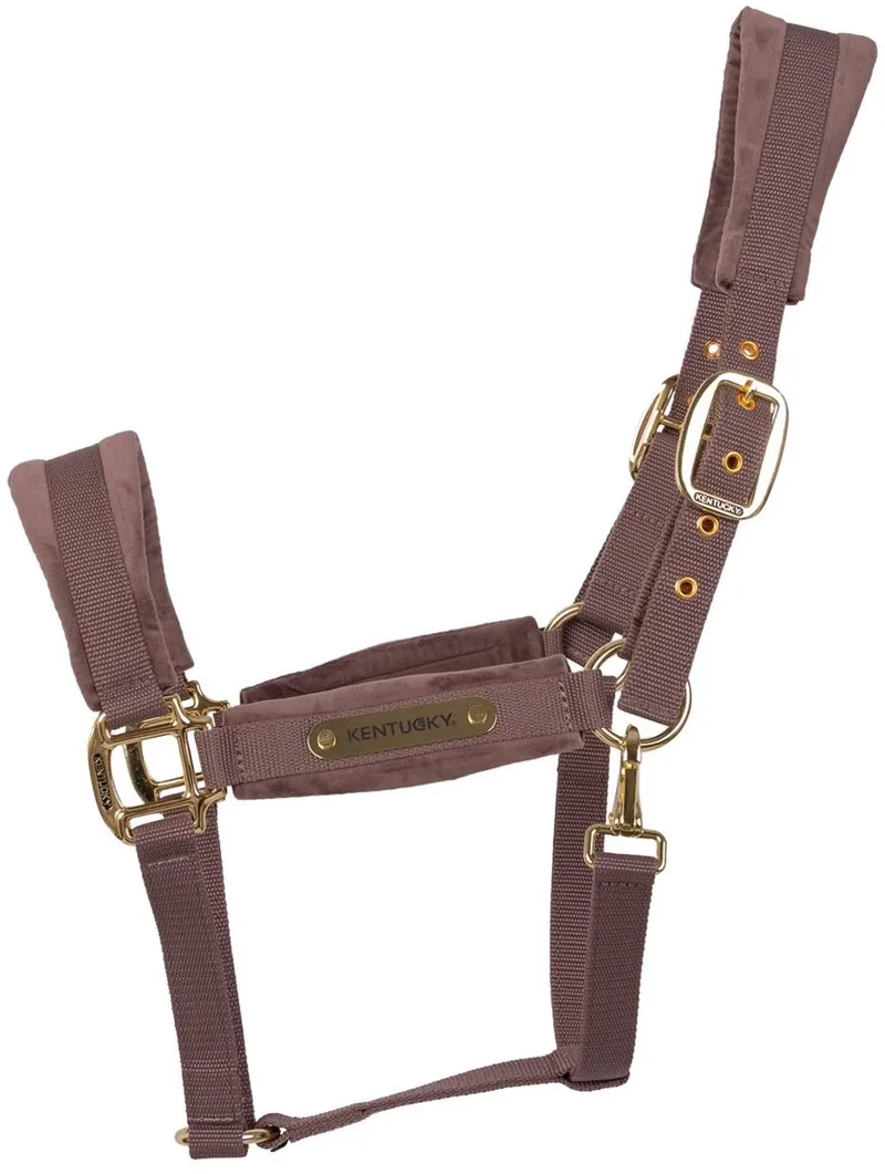 Velvet halster licht purper cob von Kentucky Horsewear in Lichtpaars – Produktfoto