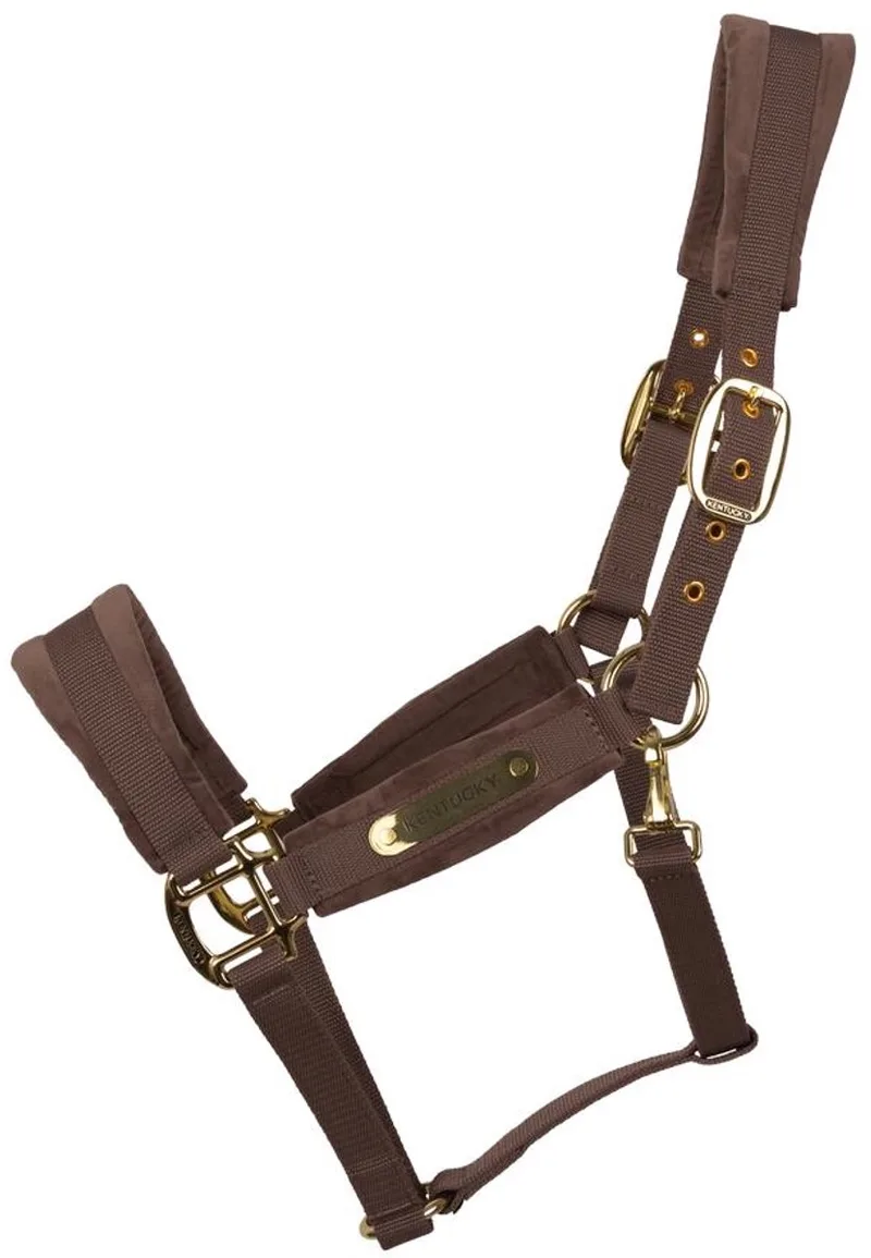 Velvet halster licht purper full de Kentucky Horsewear en Lichtpaars – photo produit