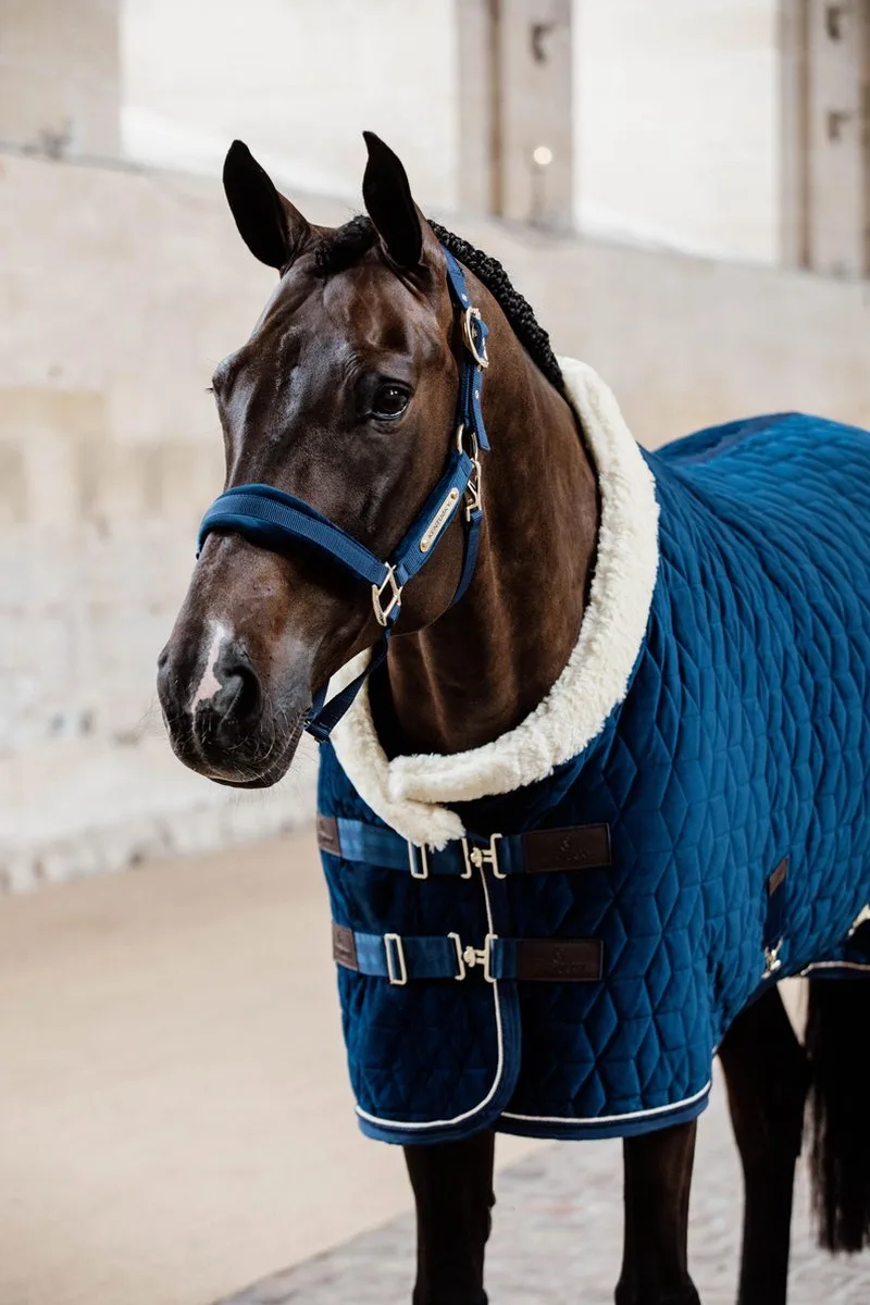 Velvet halster marine cob von Kentucky Horsewear in Marineblauw – Produktfoto