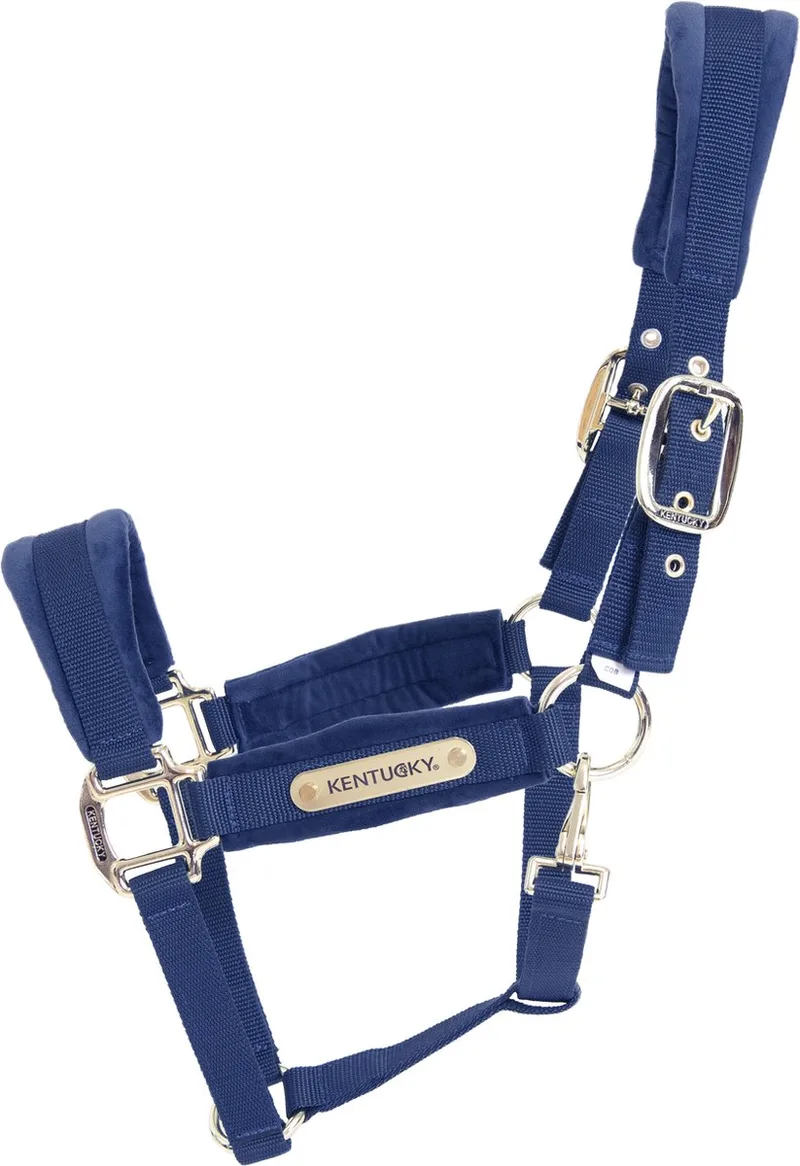 Velvet halster marine pony de Kentucky Horsewear en Marineblauw – photo produit