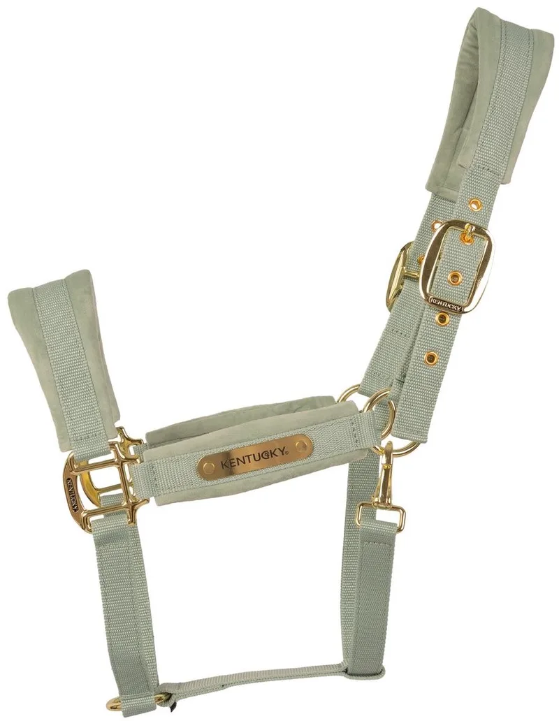 Velvet halster mint full de Kentucky Horsewear en Munt – photo produit