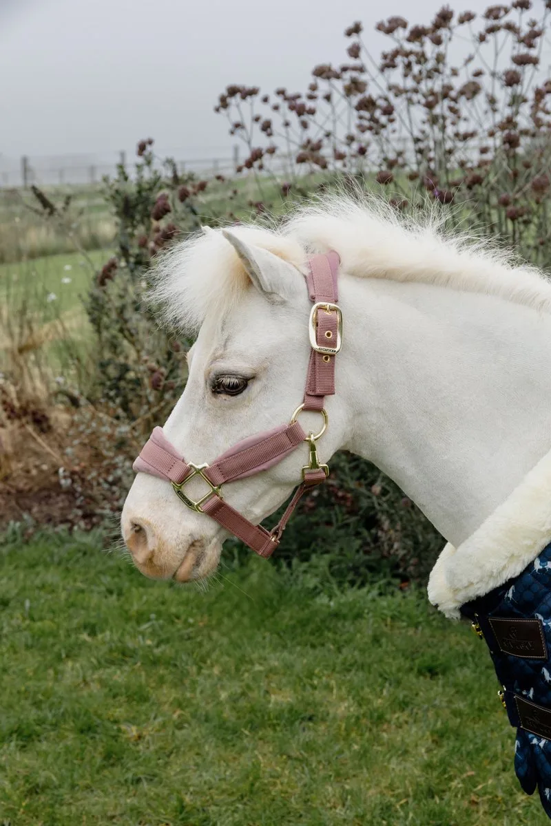 Velvet halster oud roze shetlad pony von Kentucky Horsewear in Oudroze – Produktfoto