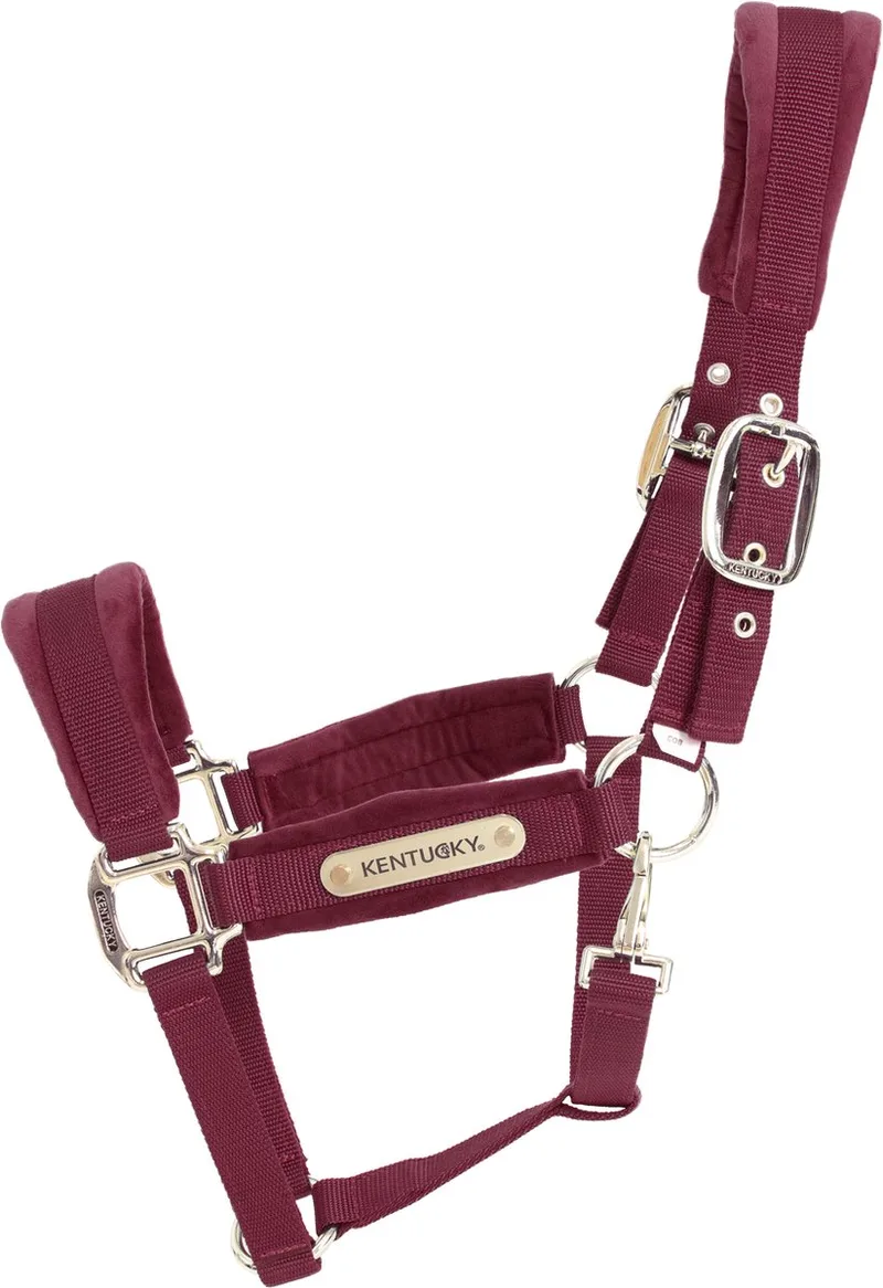 Velvet halster pony von Kentucky Horsewear in Bordeaux – Produktfoto