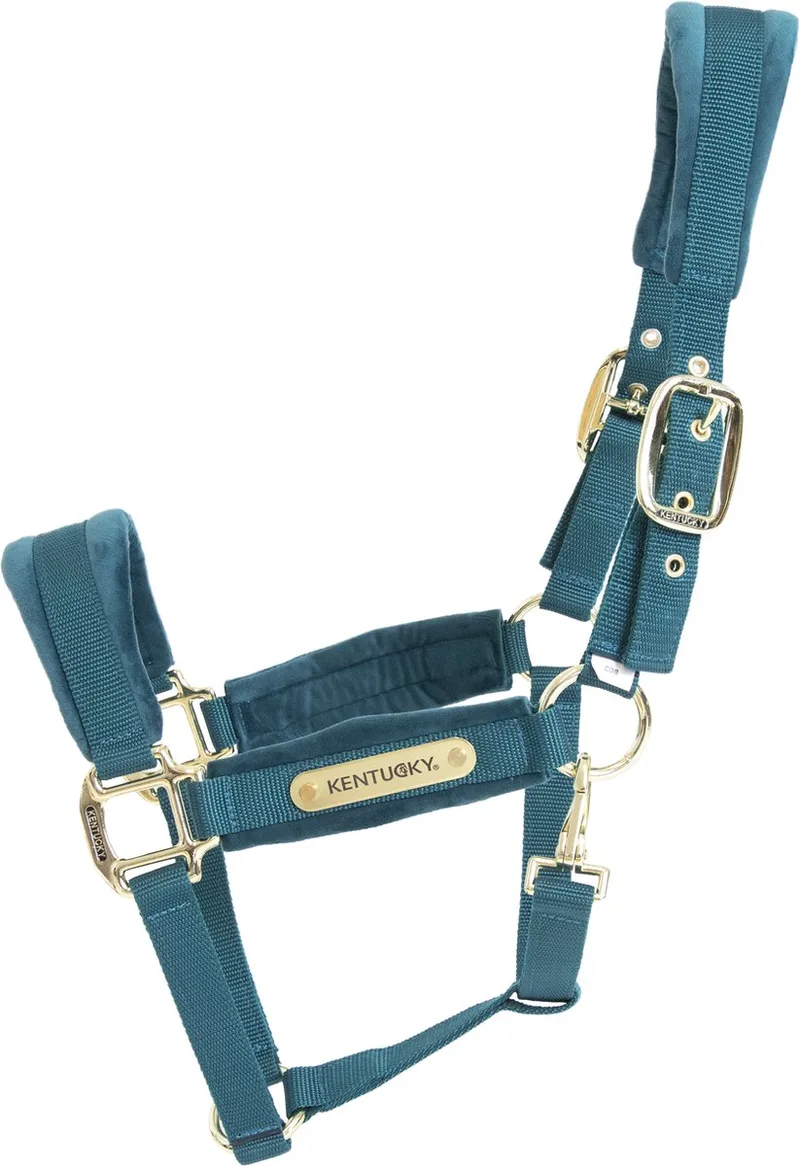 Velvet halster pony de Kentucky Horsewear en Smaragd – photo produit