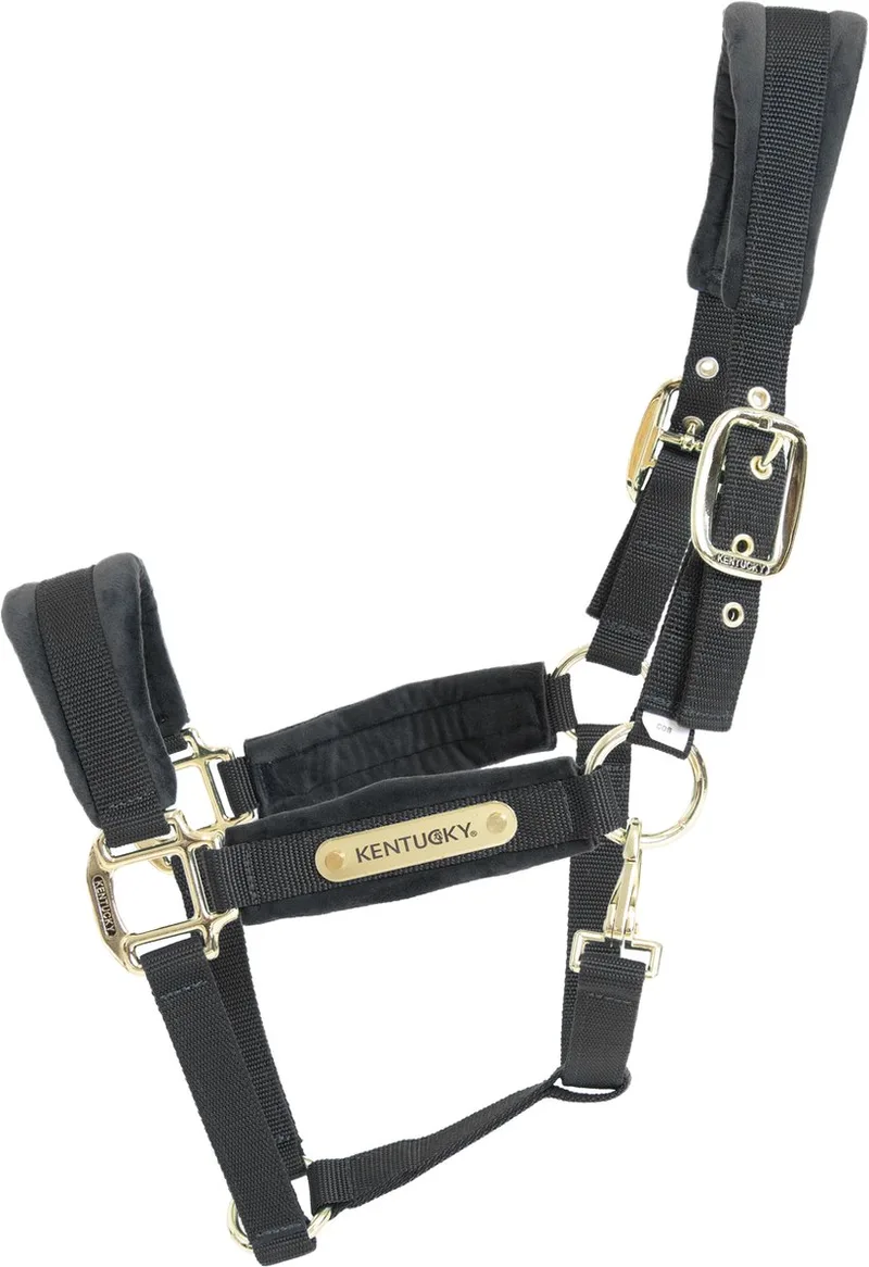 Velvet halster pony by Kentucky Horsewear in Black – product photo