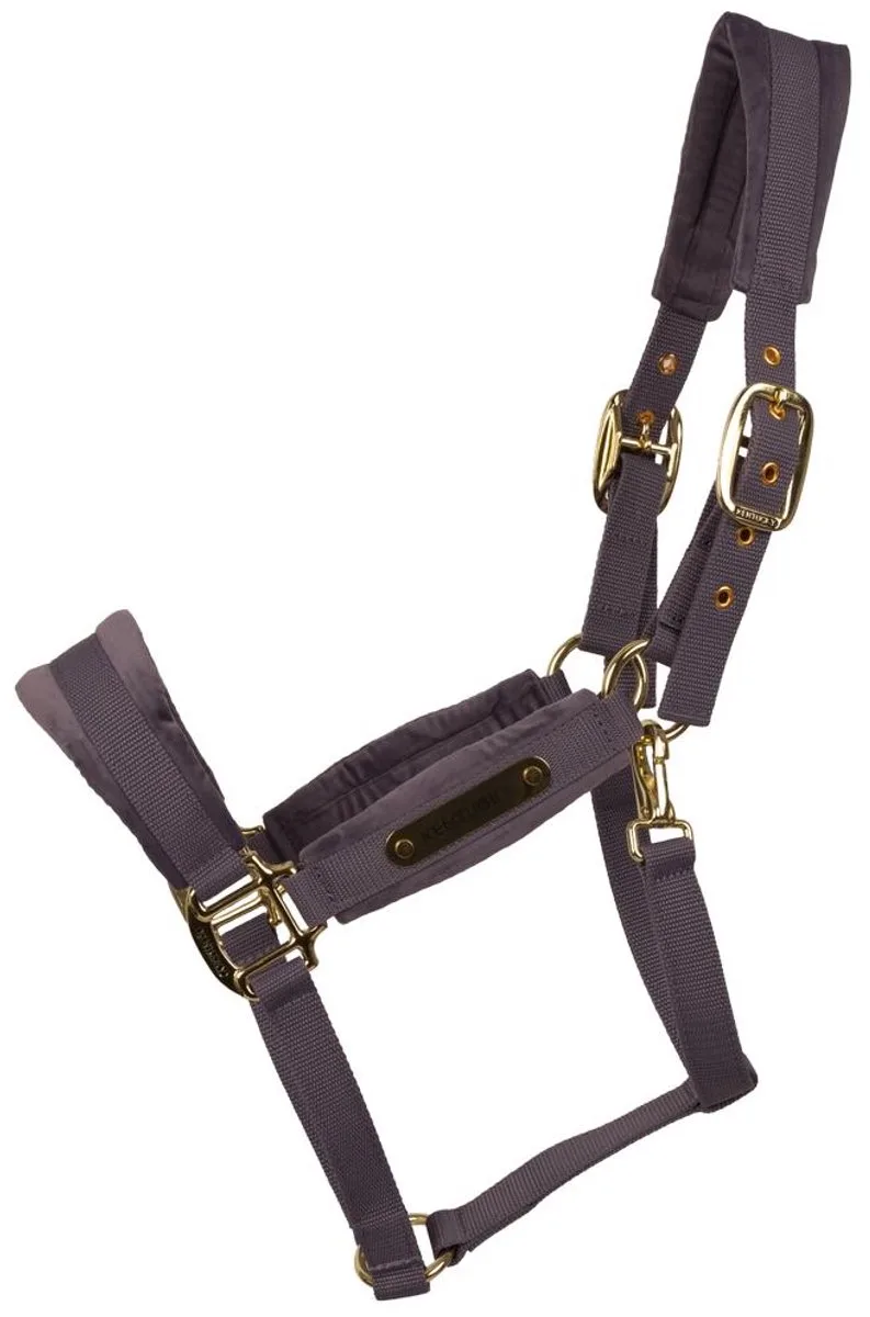 Velvet halster purper cob de Kentucky Horsewear en Violet – photo produit