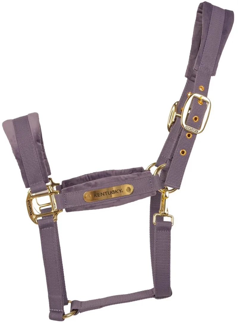 Velvet halster purper pony von Kentucky Horsewear in Lila – Produktfoto