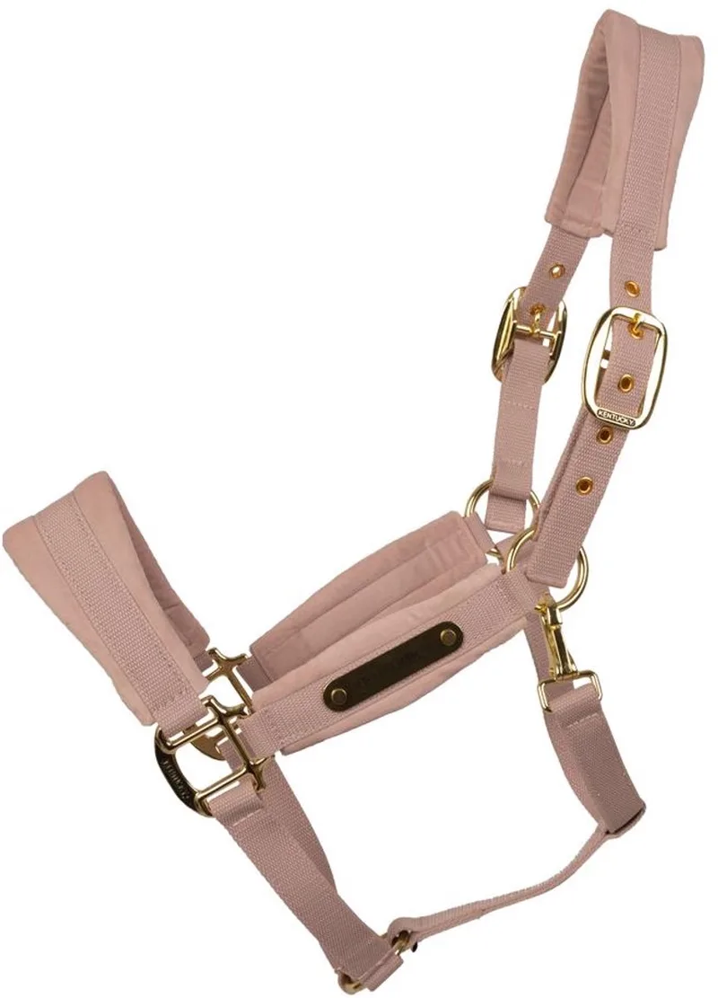 Velvet halster soft rose full von Kentucky Horsewear in Rosa – Produktfoto