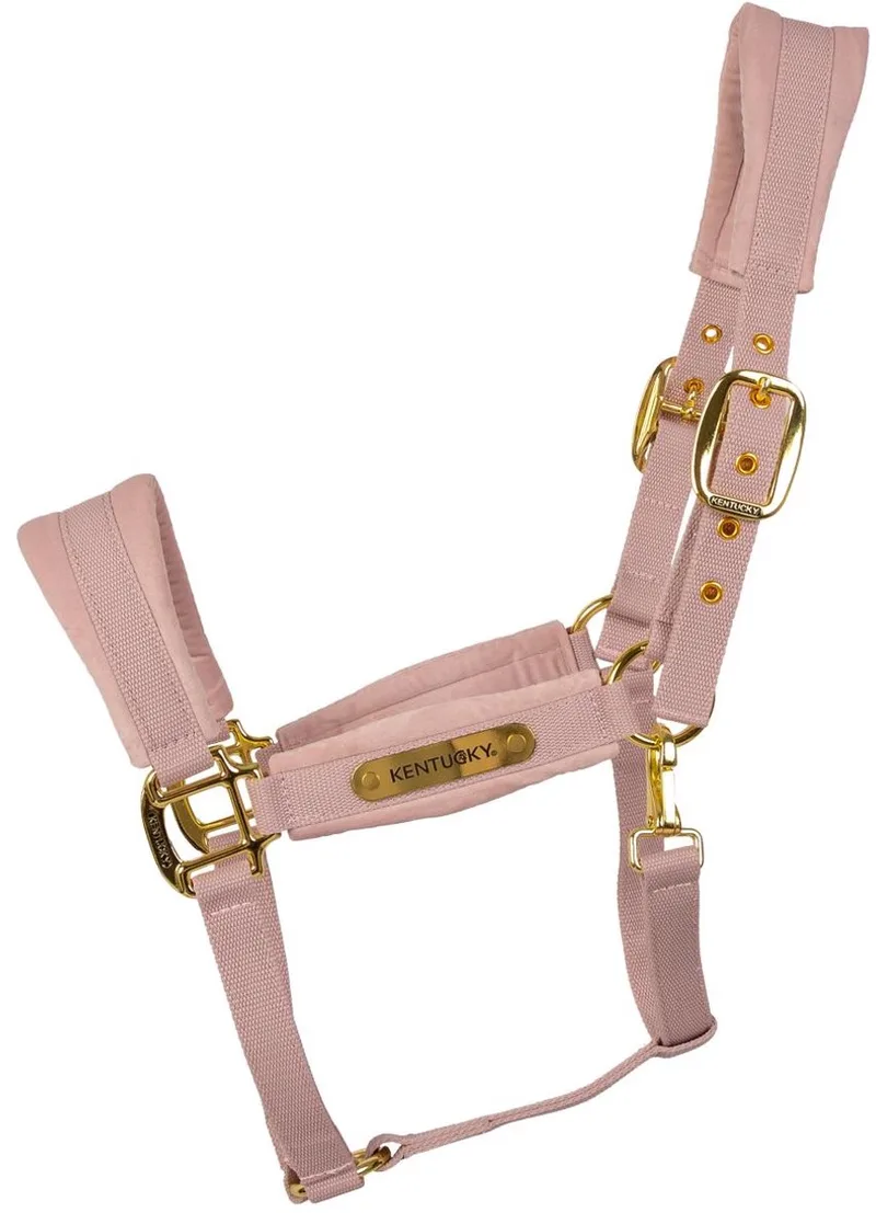 Velvet halster soft rose shetland pony de Kentucky Horsewear en Rose – photo produit
