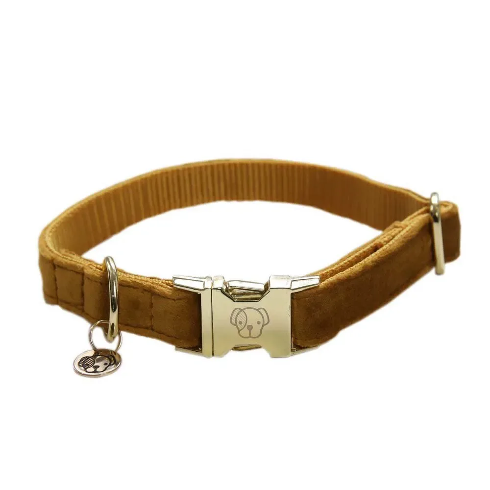 Velvet Hondenhalsband van Kentucky Horsewear – productfoto