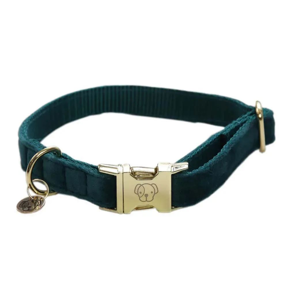 Velvet Hondenhalsband de Kentucky Horsewear – photo produit