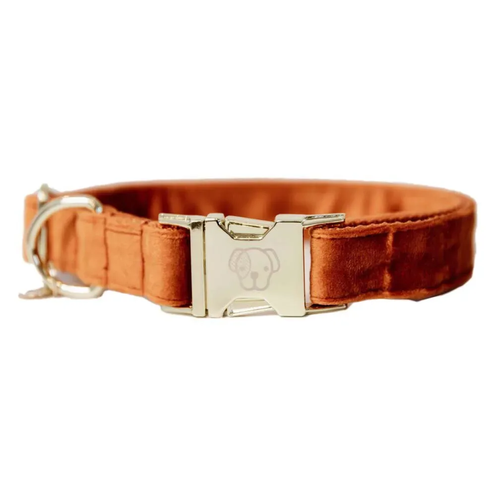 Velvet Hondenhalsband van Kentucky Horsewear – productfoto