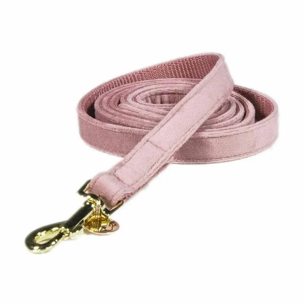 Velvet Hondenriem 15 Mm fra Kentucky Horsewear – produktbillede