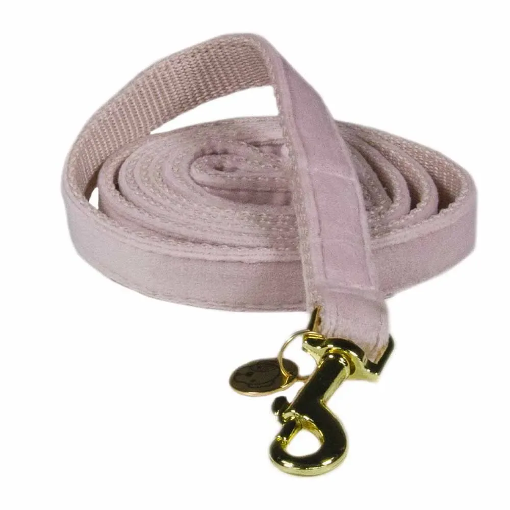 Velvet Hondenriem 15 Mm van Kentucky Horsewear – productfoto